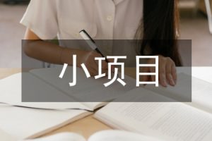 推荐新手，一个小蓝海AI项目