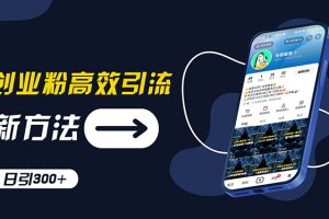 精准引流实战课：直播全流程教学，文案对标，素材合规资料合集