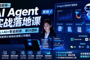 学完即用—AI Agent实战落地课-更新：一人+AI=专业财务、审计团队，解锁财务审计自动化全新工作模式